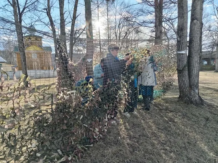 Соревнования по волейболу
