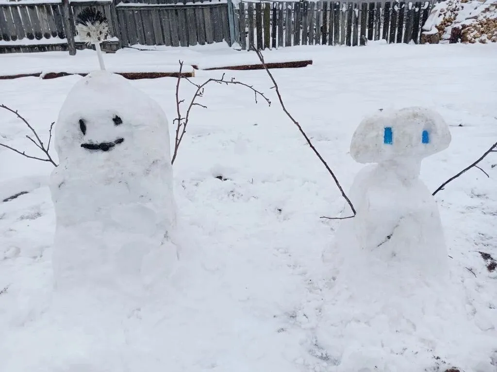 Снеговик семьи Захара Шеверенко