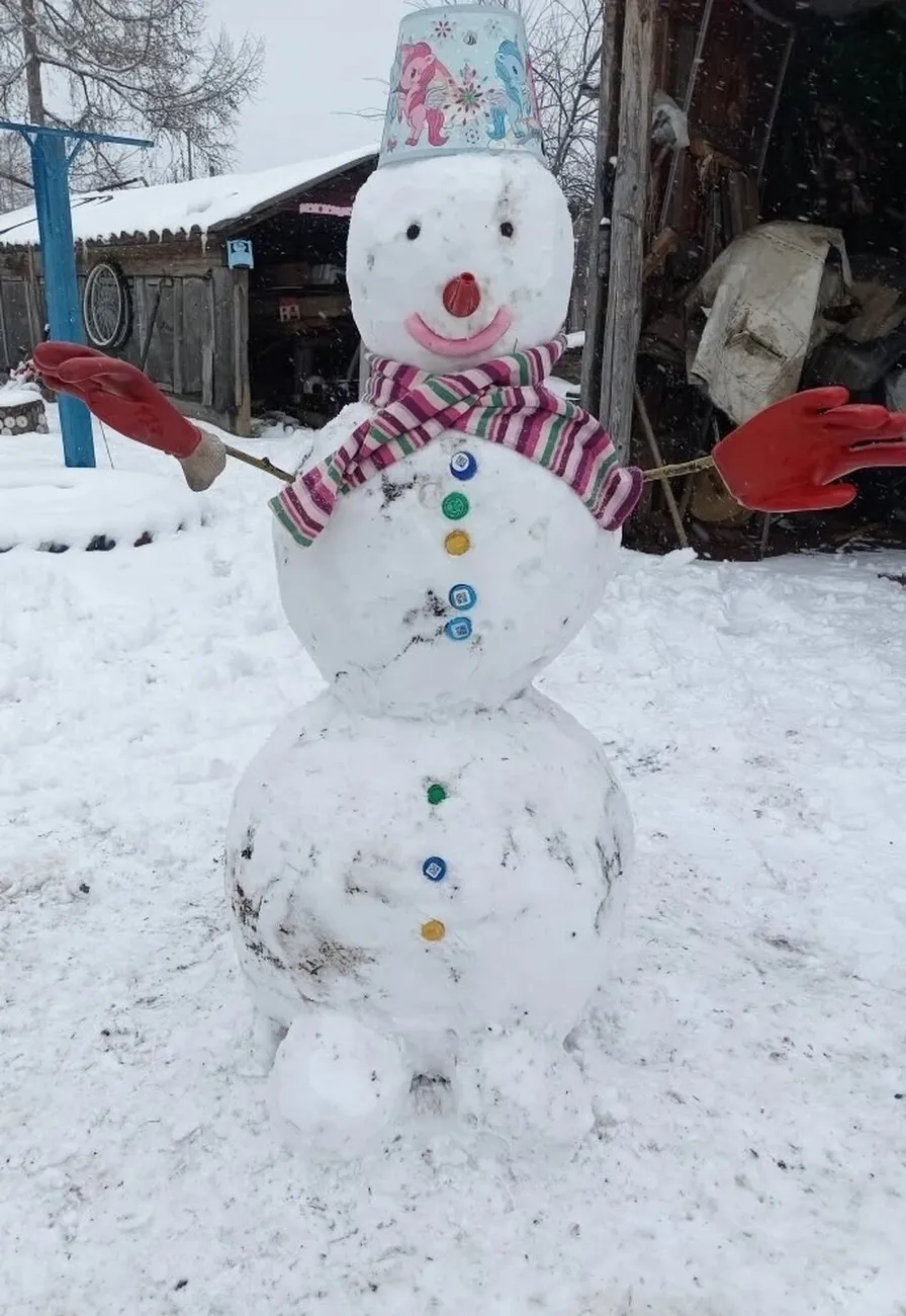 Снеговик семьи Арины Селиной